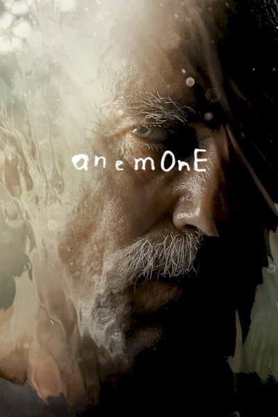 Anemone