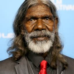 David Gulpilil
